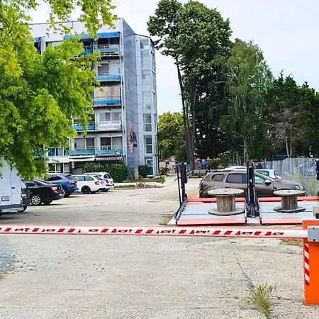 Sophie By The Sea Saturn