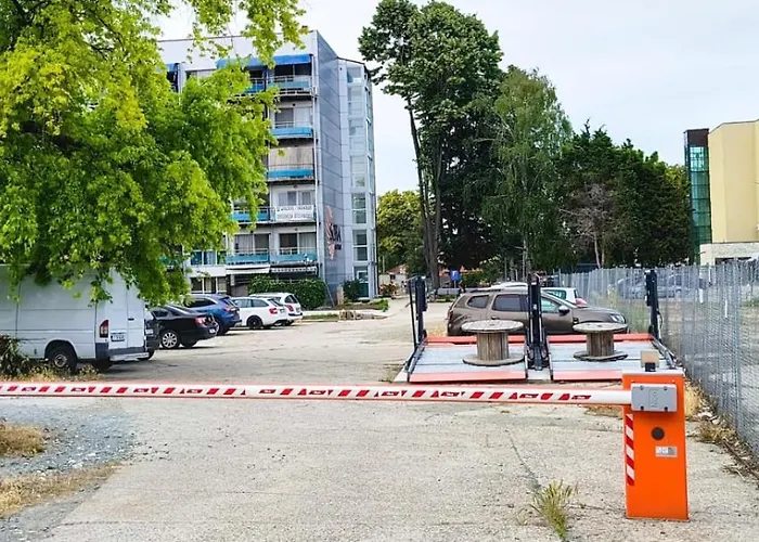 Sophie By The Sea Saturn